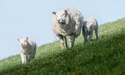 子女缘薄是什么意思？什么八字子女缘薄？