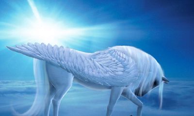 梦到飞马十二星座