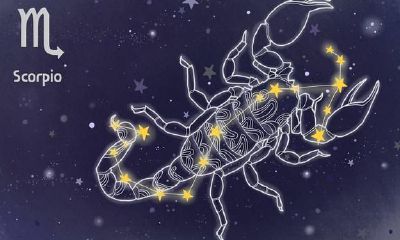 十二星座完美解析之天蝎