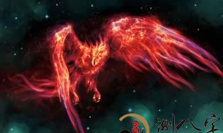 梦见凤凰在天空飘舞