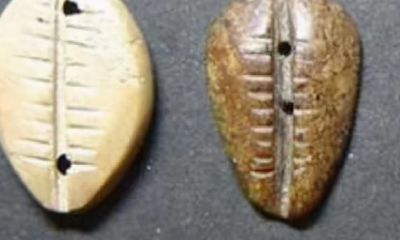 《易经》的八卦为什么是八个，而不是七个或十个，谁规定的