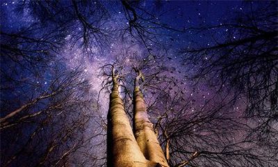 日柱有红鸾是什么意思？红鸾在八字中代表什么意思？