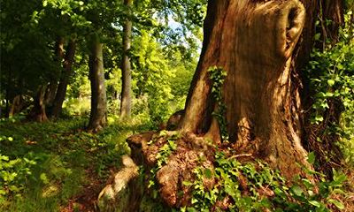 戊子日柱女命婚姻怎么样？戊子日柱是上等日柱吗？