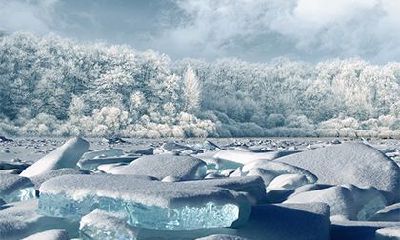 戊子日出生月份怎么看富贵？