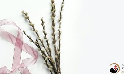 白羊座——十条与白羊座相处的准则，教你如何与白羊座相处融洽