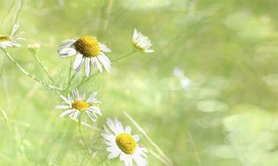 2022年农历九月哪天出生好？九月出生星座是什么