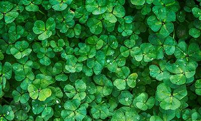 2022虎年农历十一月二十日是不是祈福吉日