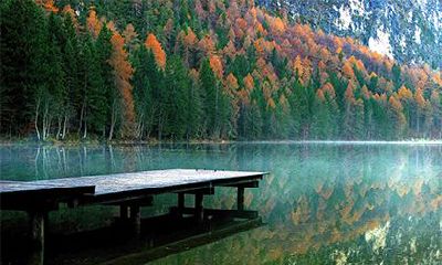 曹姓得姓始祖是谁？百家姓中第几位是曹姓？