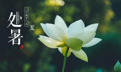 处暑有什么风俗习俗？习俗和风俗有什么区别？