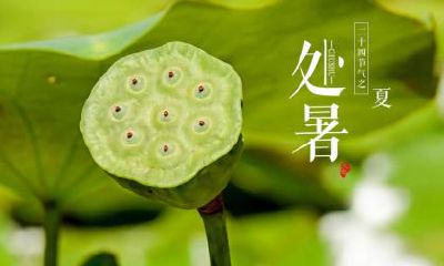 关于处暑的谚语有哪些？处暑谚语大全！