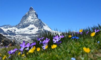 2022年农历十一月廿五日黄历适合祈福吗