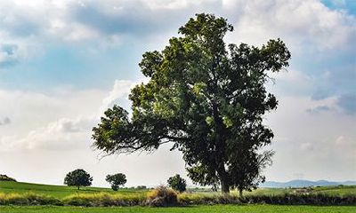负有天命的女人特征，什么样的八字带天命？