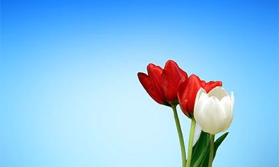 2022年农历九月怀孕几月份生宝宝