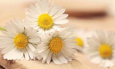 农历九月要注意什么？2022年九月出生是什么命