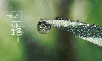 2022白露是具体时辰是多少？关于白露的古诗分享！