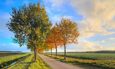 偏印重的人有报应？偏印重的人如何化解？