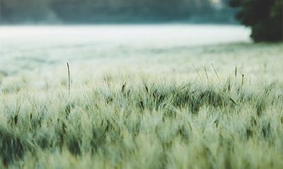 时柱是偏印是不是晚年惨？晚年好的八字特征