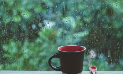 白露节气要注意什么？忌讳早知道！