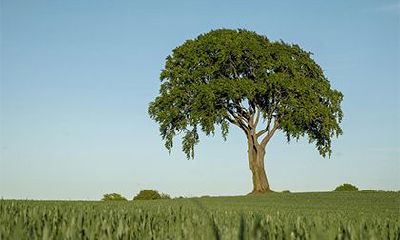 大富大贵八字必须清纯，极富极贵的特殊八字格局