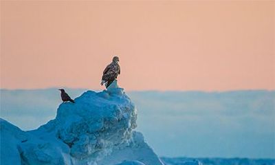 为什么贵气的人很干净？一个贵气的女人有什么特征？