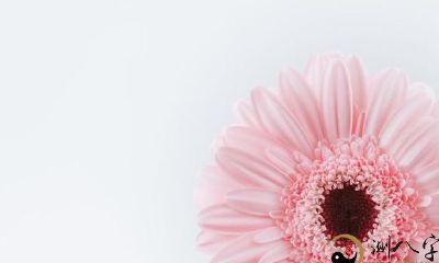 狮子座宠人的几种特殊方式