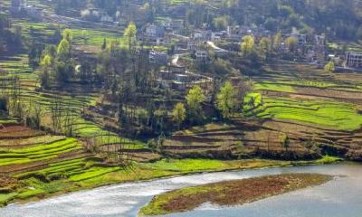 2022正月初一是什么日子，大年初一早上吃什么？