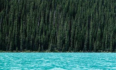 仙女命一般是几月出生，仙女命为什么无姻缘？