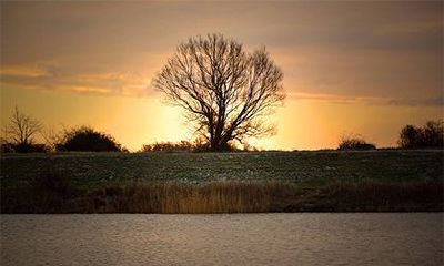 八字全阳的人是神仙吗？八字全阳是什么意思？