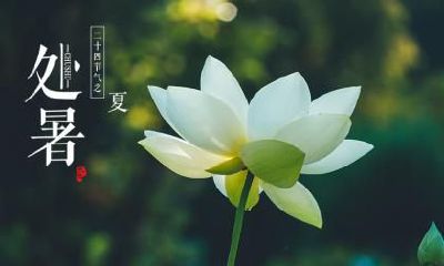 在处暑节气这天出生的不同年份属狗人命理