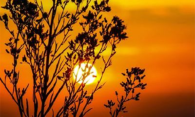 女人农历几日出生上等命？上上等命格的出生时辰