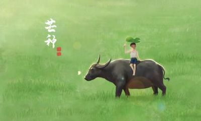 2022年芒种节气出生的虎宝宝好吗？命运如何？