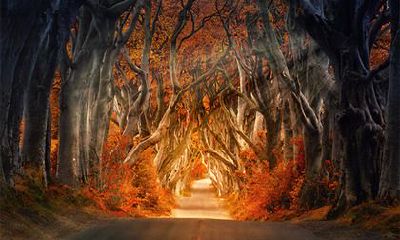 本命年是从生日算起吗？本命年过生日祝福语