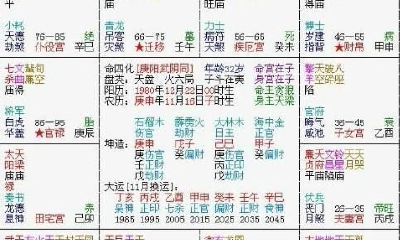 紫薇斗数与四柱八字的区别