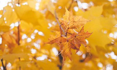 2022年属虎本命年戴什么转运和消灾？能戴本命佛吗？