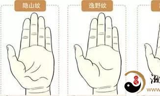 最全的手相掌纹图解，快来看看你是哪种