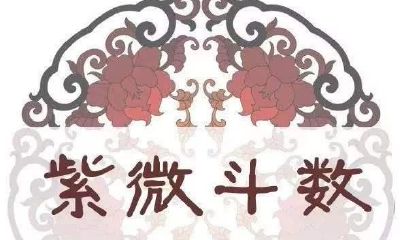 紫微斗数宫位基本概况、宮位推演