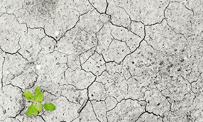 城墙土命的禁忌，城墙土是强土还是弱土？