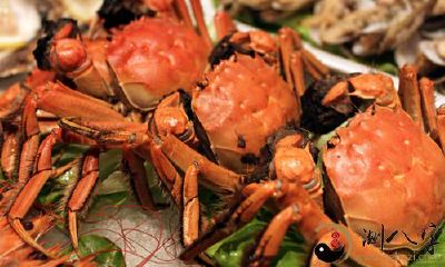 梦见螃蟹许多都会秀发