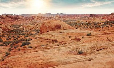 城头土命的女人的命运，城头土命女人性格