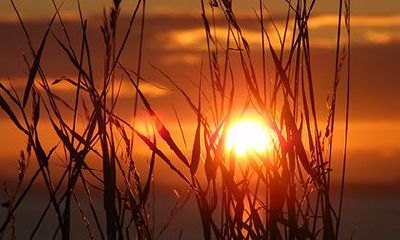 2022年农历九月十二是黄道吉日吗？什么是黄道吉日？