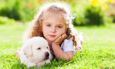 梦见小孩子和小狗狗