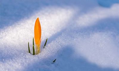 涧下水命都是什么属相？涧下水命和哪些命相生？