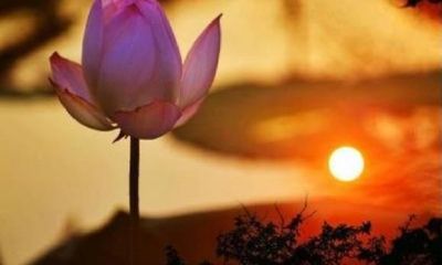 八字命理之官运