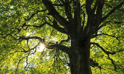山头火命女和什么命配？山头火命女适合佩戴什么？