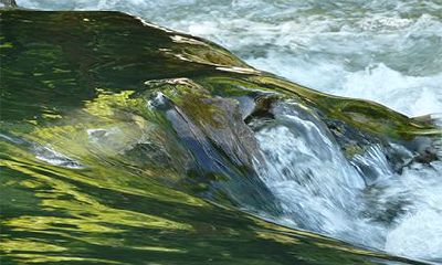 大林木命最怕山头火，大林木命忌讳什么？