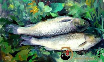 梦到岸上什么鱼都是有