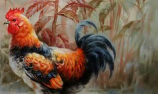 命中注定“富贵鸡”：特别是1969年49岁人一生一世，这都是天意！