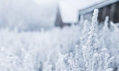 山头火喜见涧下水什么意思？山头火命好不好？