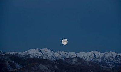 八字中哪一柱是婚姻宫？婚姻宫逢合是什么意思？