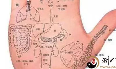 手相看健康状况图解！收了吧！